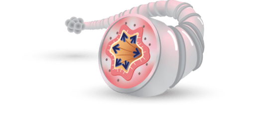 LABA (vilanterol) promotes bronchodilation LABA (vilanterol) promotes bronchodilation